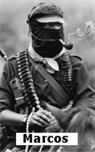 64464353_d6bc710810.jpg
