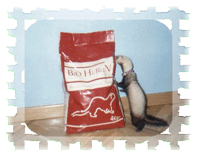 02_bandi.gif