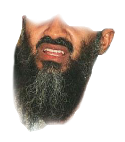 tamplateOBL.png