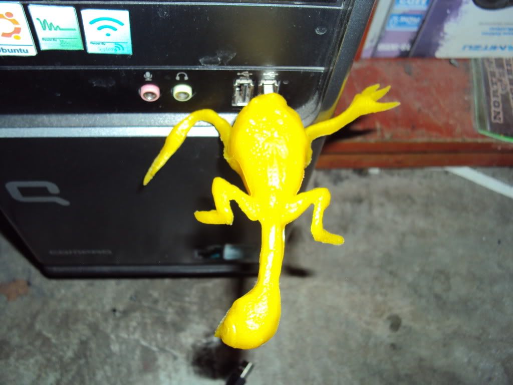 DSC00642.jpg
