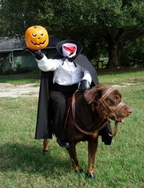 happy_halloween_640_14.jpg