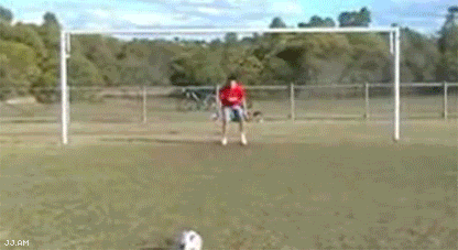 5xxmedt.gif