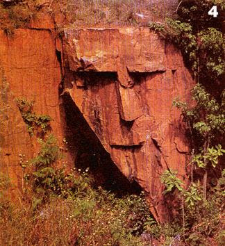 pareidolia6_face.jpg