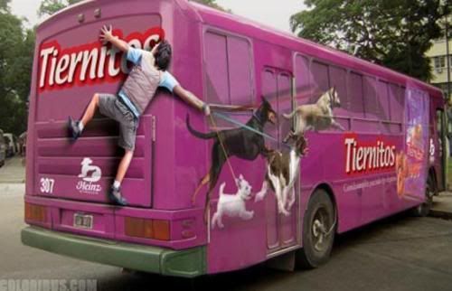 4871217nubondiperro.jpg
