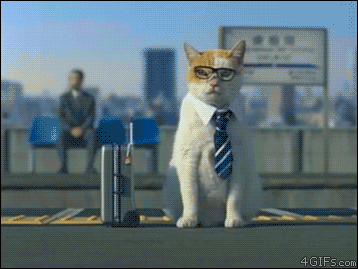 tumblr_m5jxn3BaTY1rwoqv1o1_400.gif