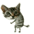 7ad7467039d24d1e63f17853fdf6c994.gif