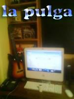 la-pulga.jpg