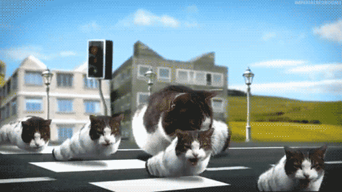 tumblr_luf5u9Tukv1r6pn2vo1_500.gif