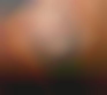 110653_1_600.jpeg