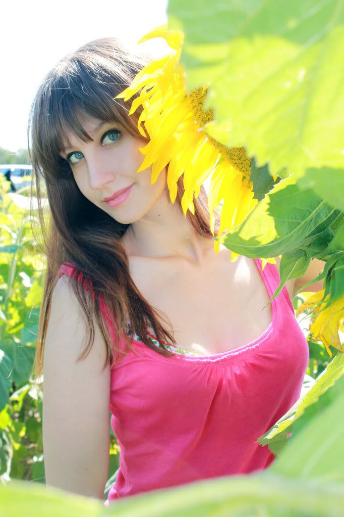 sunflower_by_aivytz-d490hqk.jpg