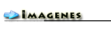 1-Imagenes-20.png