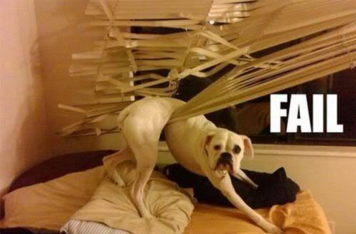dogs-making-a-mess-7-4.jpg