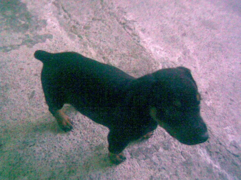 Imagen0222.jpg