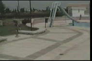452915156.gif