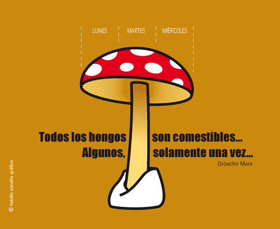 hongos_blog.jpg