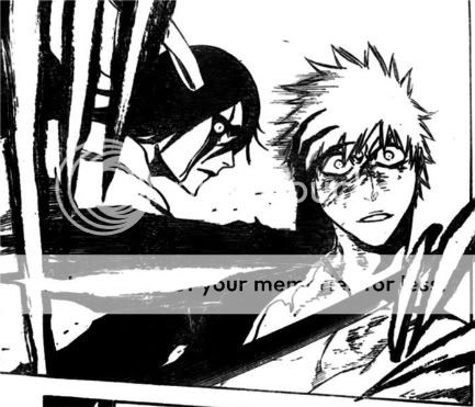 bleach348sleepyfans14.jpg