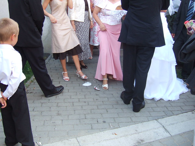 198089793_f12227bfbf_z.jpg
