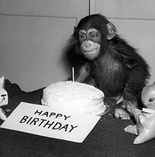 BirthdayMonkey.jpg