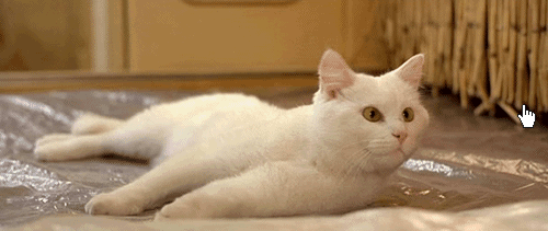 tumblr_luf7xbSq7d1qzkfflo1_500.gif