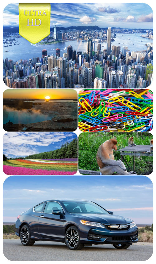 79ed8191a6bcfa98721ed34bb2eb4032.jpg