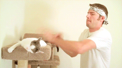 tumblr_lzhzbqCHBK1qa7aydo5_250.gif