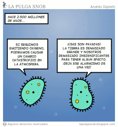 cianobacterias.gif
