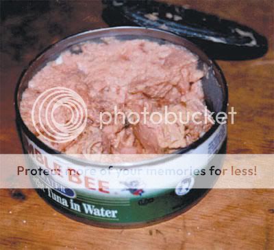 atun.jpg