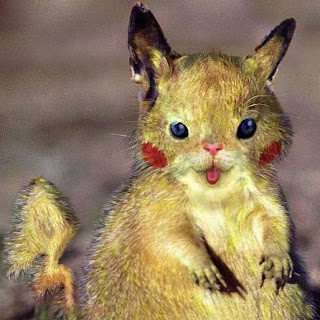 ardilla-pikachu.jpg