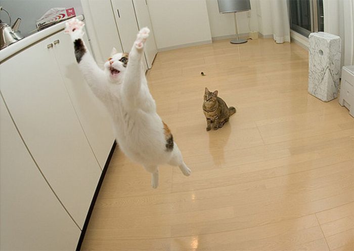 acid_picdump_51.jpg