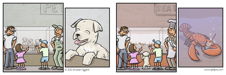 2010-09-10-202-Selection_Process.png