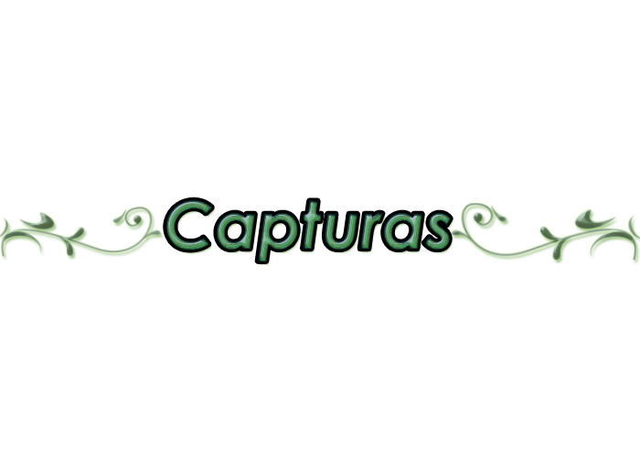 hojas+capturas.png