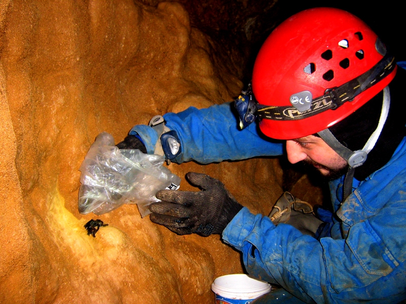exploringcavesphotos-7.jpg