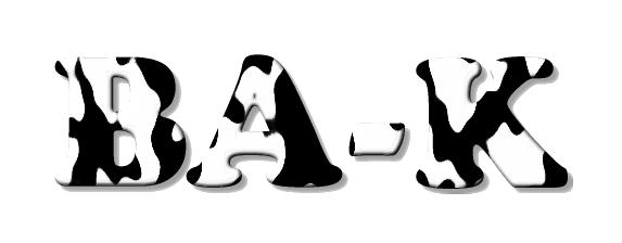 logo.jpg