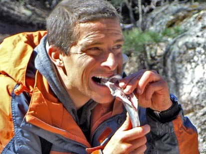 bear20grylls.jpg
