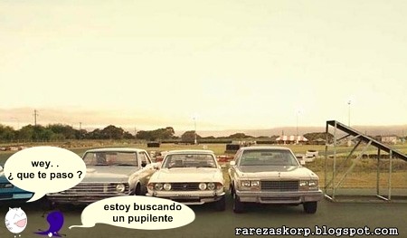 4948917982_72d2a231ea.jpg