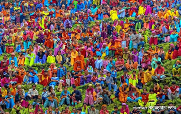 hholi.jpg