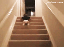 tumblr_lxehshRf9v1qgl8oco1_250.gif