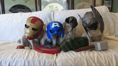 tumblr_mbjhgv6Z3X1r3gb3zo3_400.gif