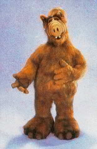 ALF2.jpg