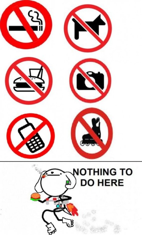 tumblr_lk9t8dwfb01qe9kspo1_500.jpg