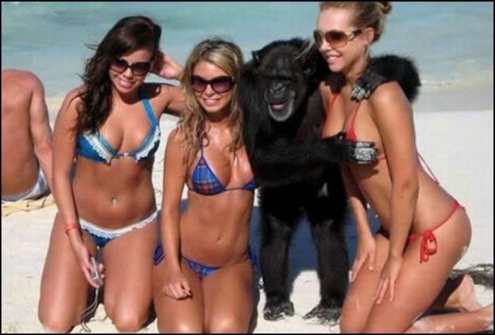 funny_summer_pictures_04.jpg