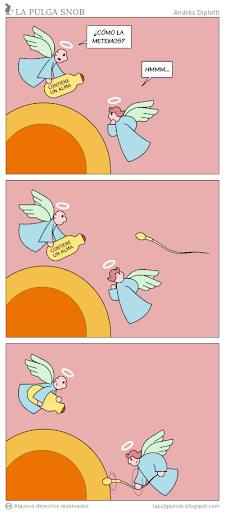 concepcion.png
