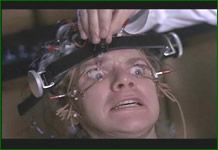 chienne1_film.jpg