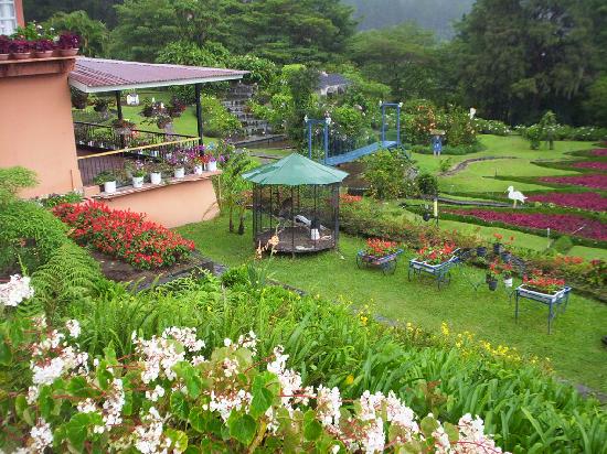 mi-jardin-es-tu-jardin.jpg