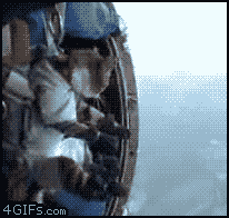 Mitttens_skydiving.gif
