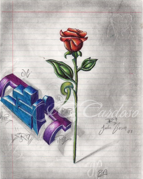 cardoso-rosaer9.png