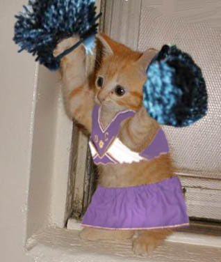 YAY-cat.jpg