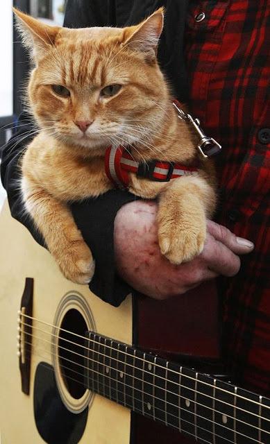 bob-el-gato-callejero-que-cambio-vida-un-musi-L-bGqFxu.jpeg