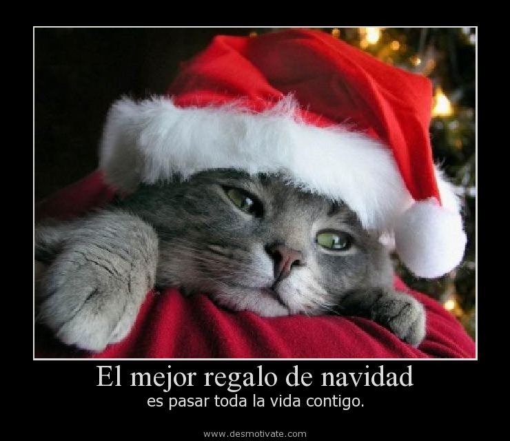 33caa18baa097461e15d508de8131174170349.jpg