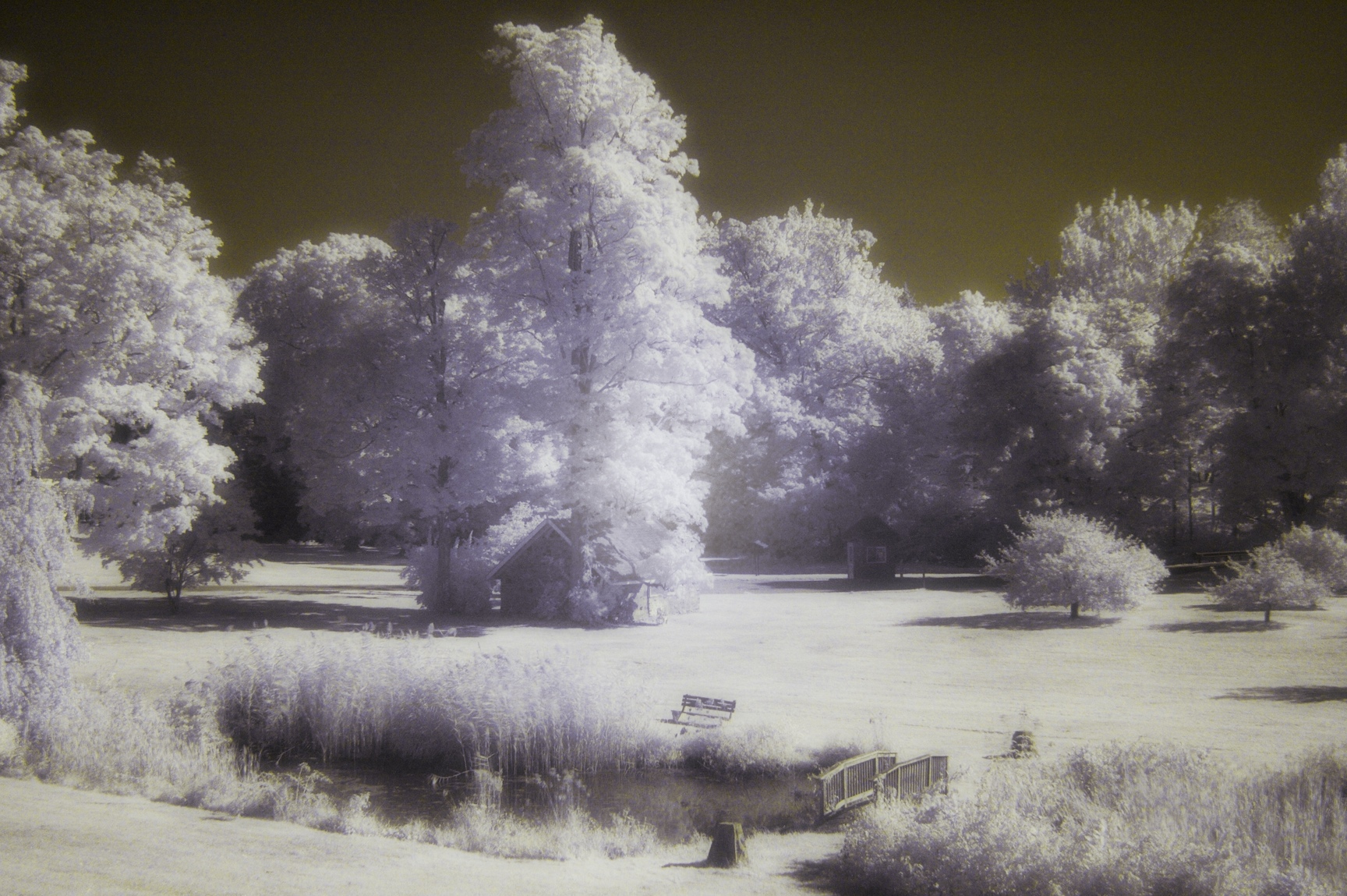 nigel-infrared-070.jpg